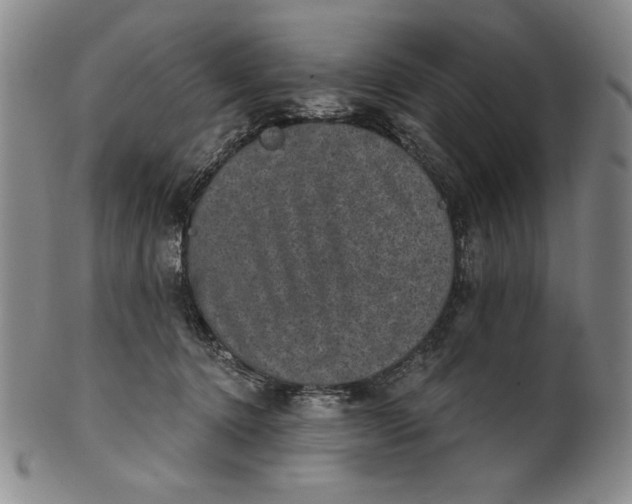 X0000101970368200808081556