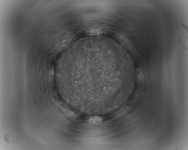 X0000101970369200808081556