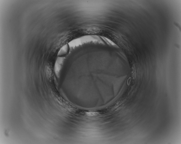 X0000101970371200808081556