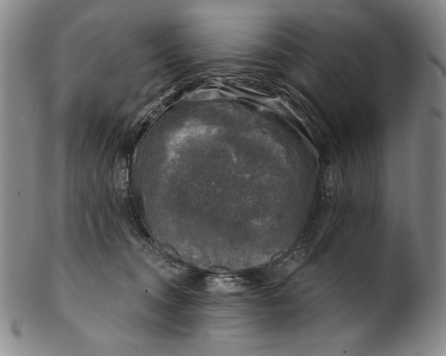 X0000101970372200808081556