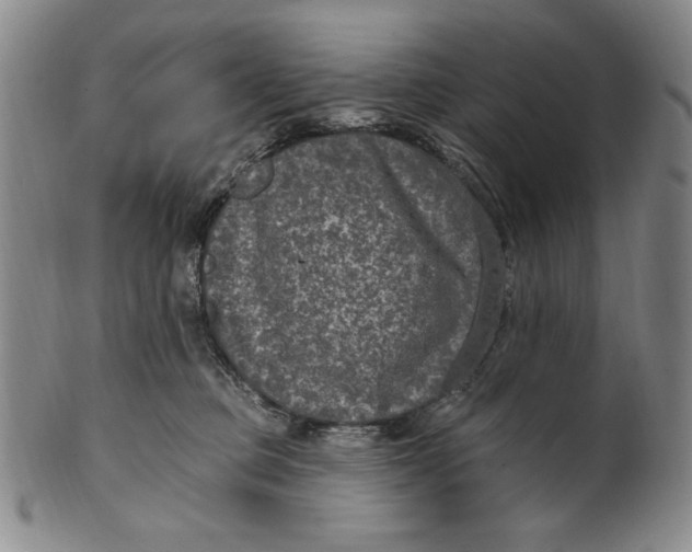 X0000101970373200808081556