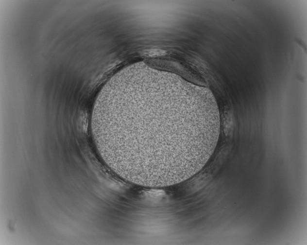 X0000101970374200808081556