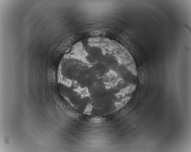 X0000101970375200808081556