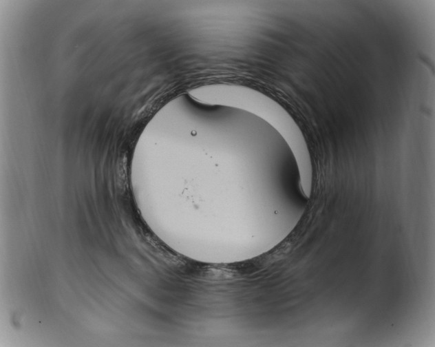 X0000101970376200808081556
