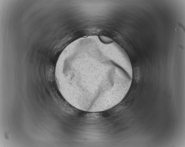 X0000101970378200808081556