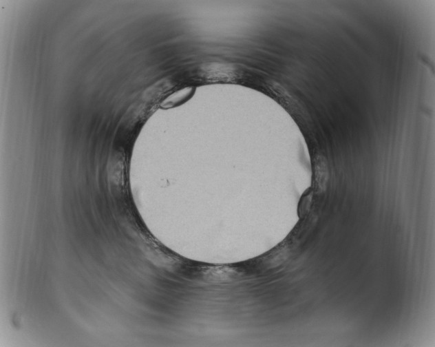 X0000101970379200808081556