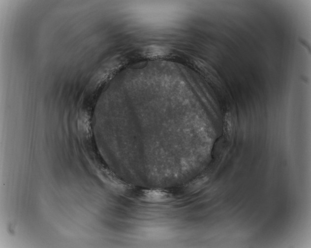 X0000101970380200808081556