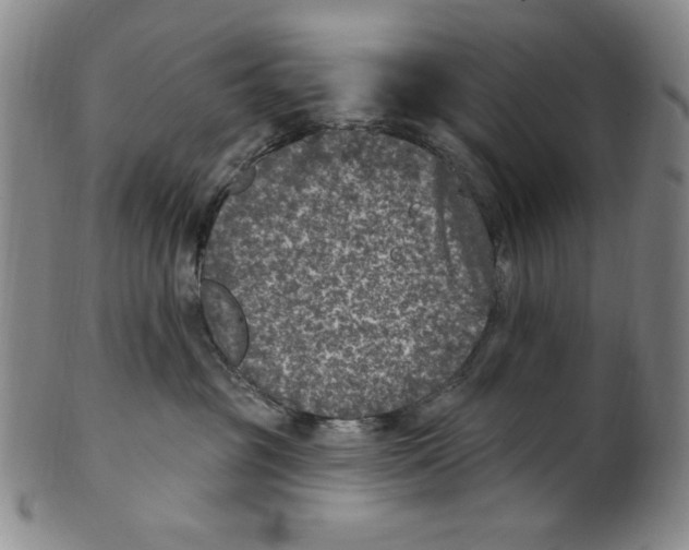 X0000101970381200808081556