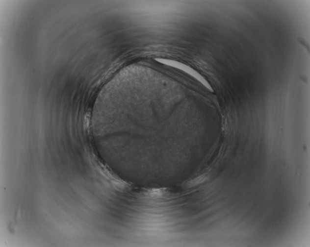 X0000101970382200808081556