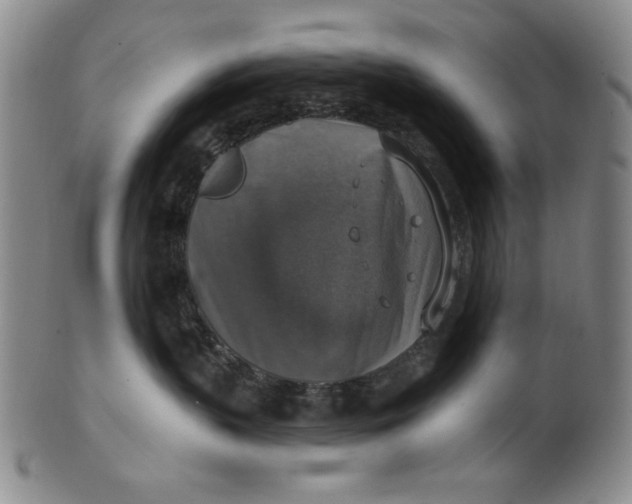 X0000101970383200808081556