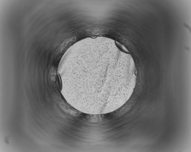 X0000101970384200808081556