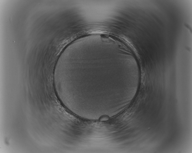X0000101970385200808081556