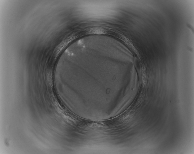 X0000101970386200808081556