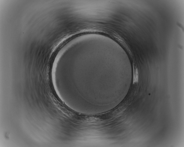 X0000101970387200808081556