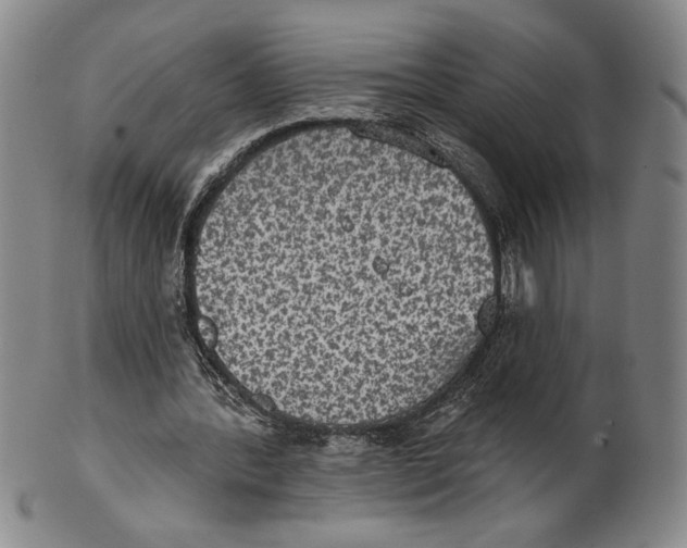 X0000101970388200808081556