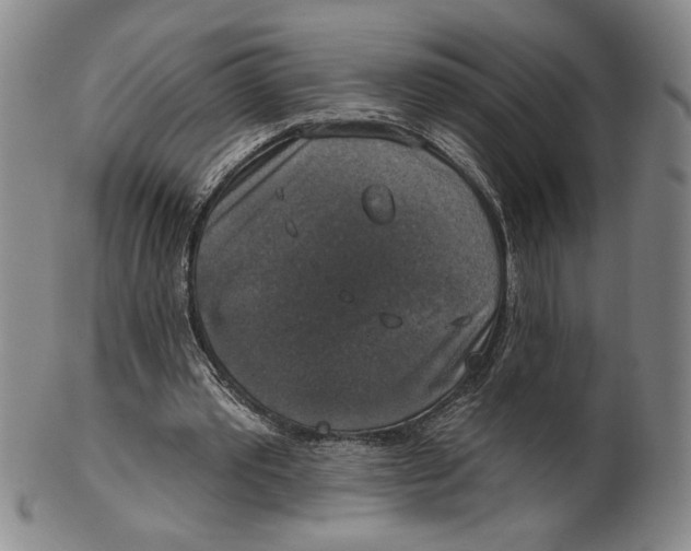 X0000101970389200808081556