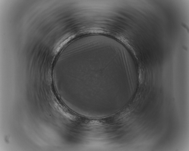 X0000101970390200808081556