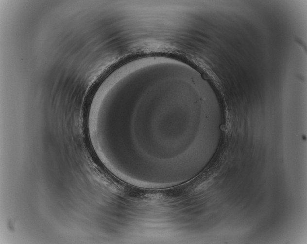 X0000101970391200808081556