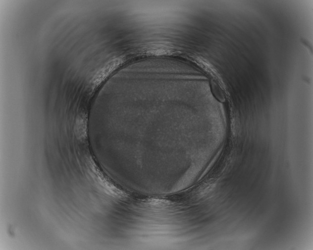X0000101970393200808081556
