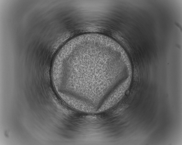 X0000101970394200808081556