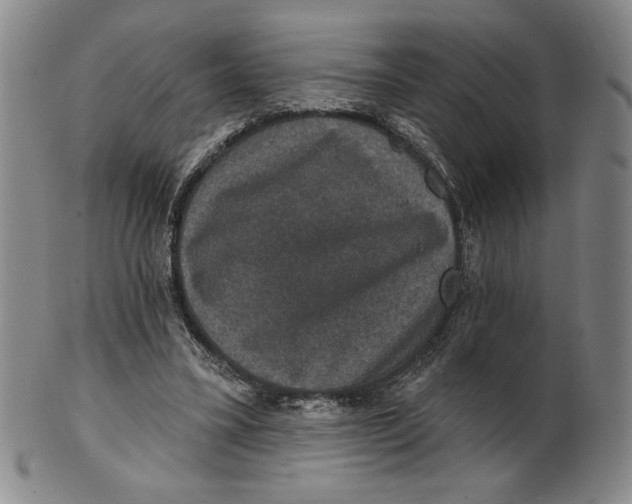X0000101970395200808081556