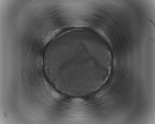X0000101970397200808081556