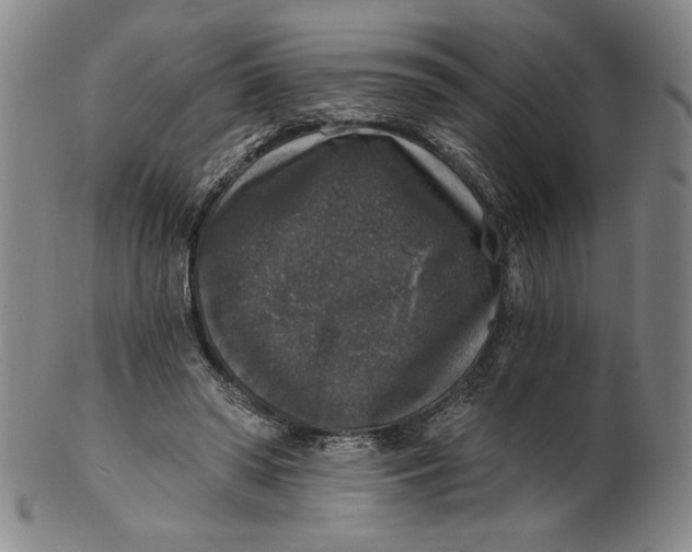 X0000101970398200808081556
