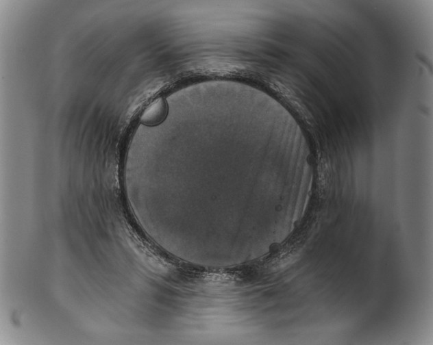 X0000101970399200808081556