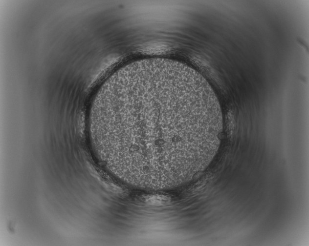 X0000101970400200808081556