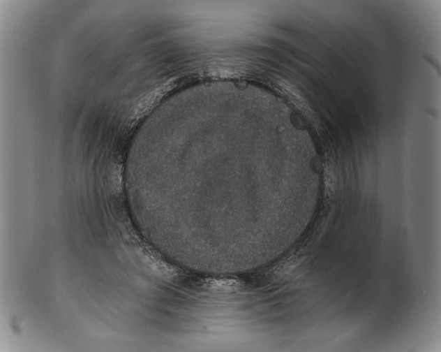 X0000101970401200808081556