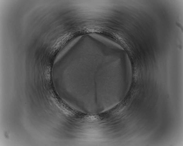 X0000101970402200808081556