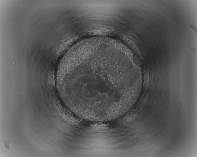 X0000101970403200808081556