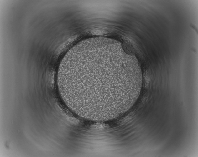 X0000101970404200808081555