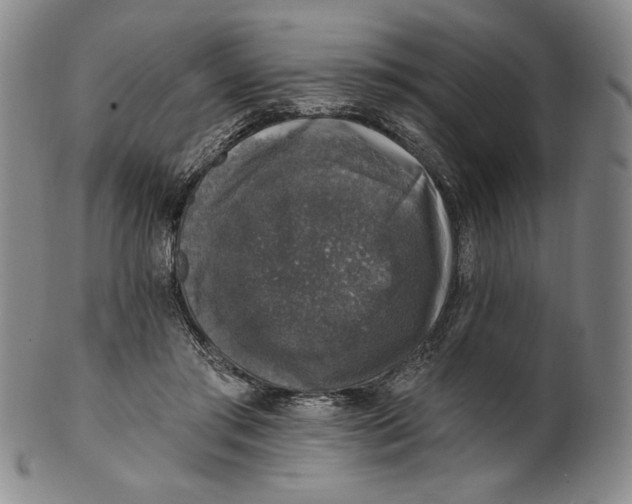 X0000101970405200808081555