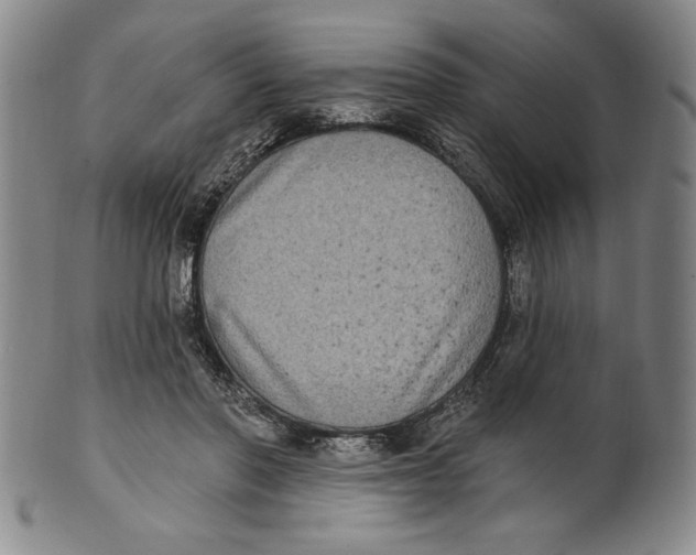 X0000101970406200808081555