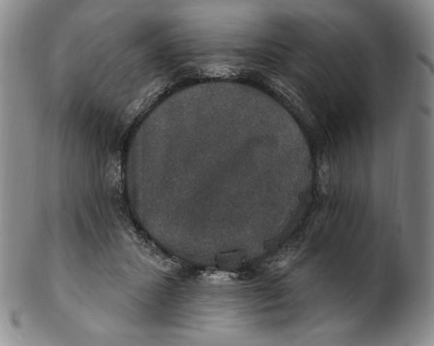 X0000101970407200808081555