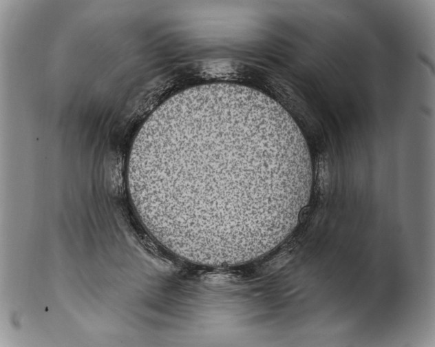 X0000101970408200808081555