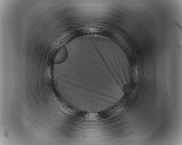 X0000101970410200808081555