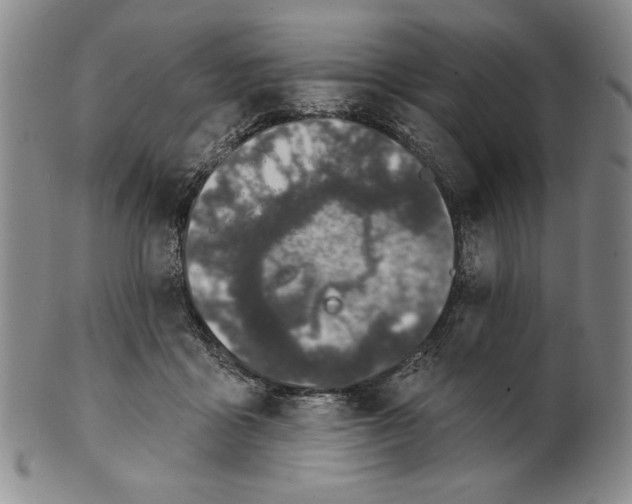 X0000101970411200808081555