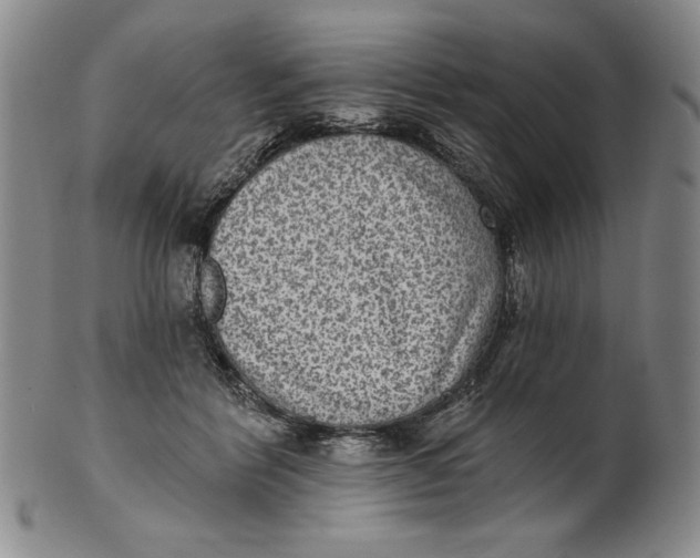 X0000101970412200808081555