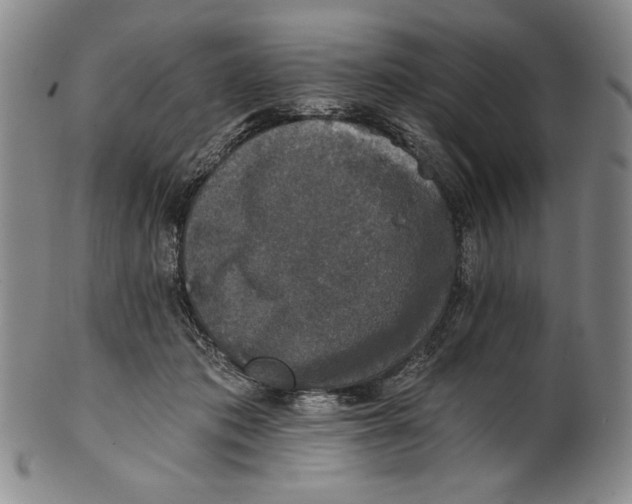 X0000101970413200808081555