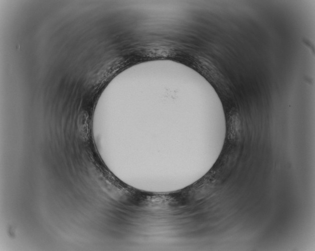 X0000101970414200808081555