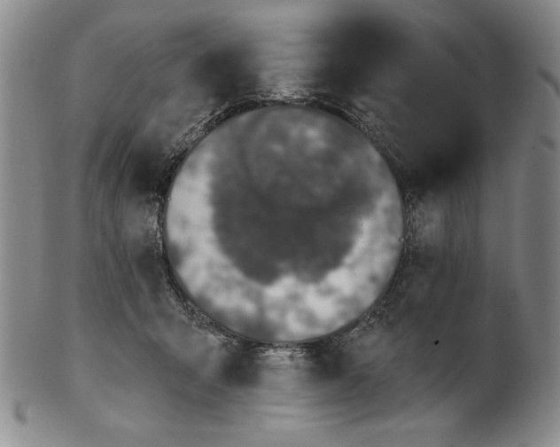 X0000101970415200808081555