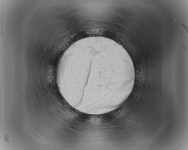X0000101970416200808081555