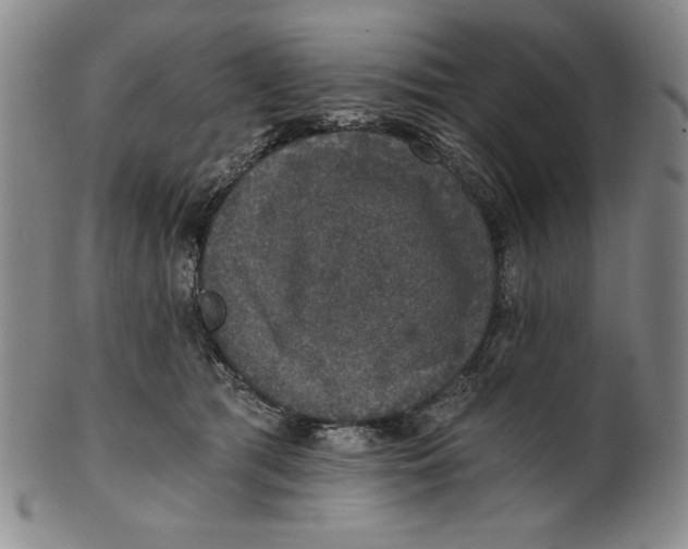X0000101970417200808081555