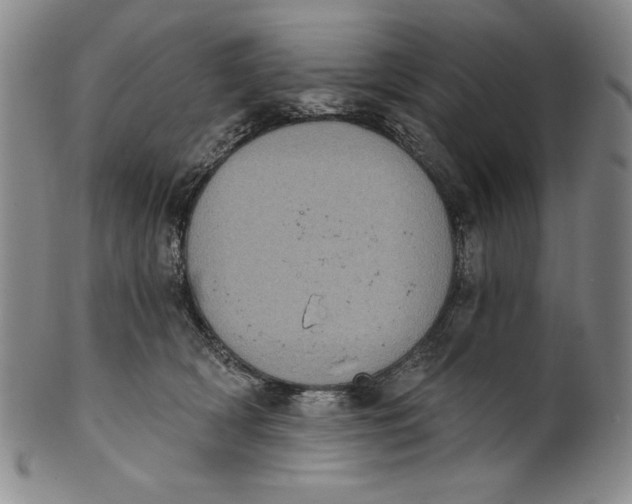 X0000101970418200808081555