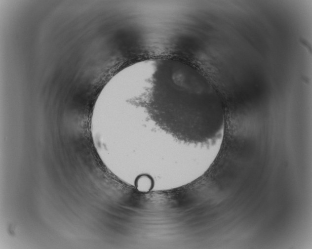 X0000101970419200808081555