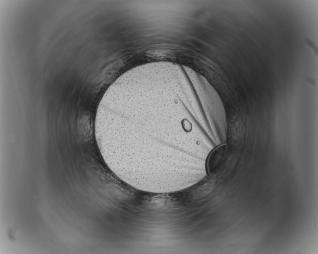 X0000101970420200808081555
