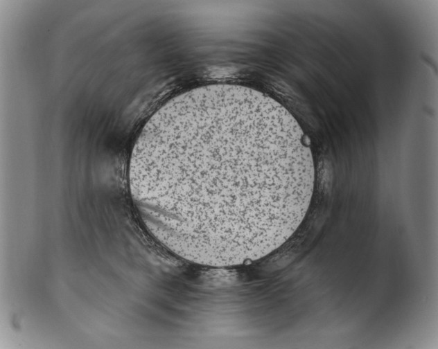 X0000101970421200808081555