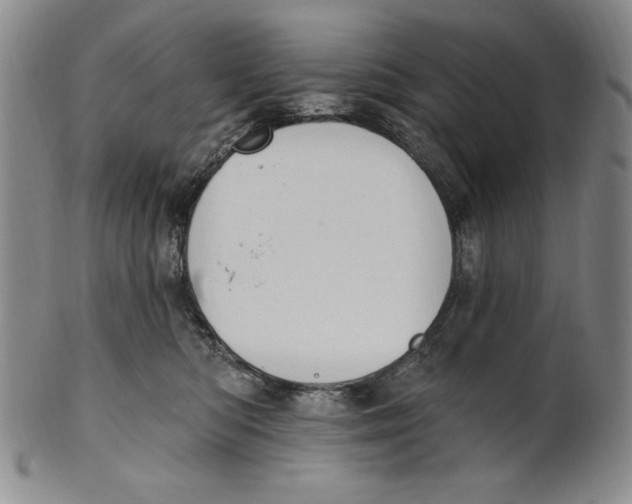 X0000101970422200808081555